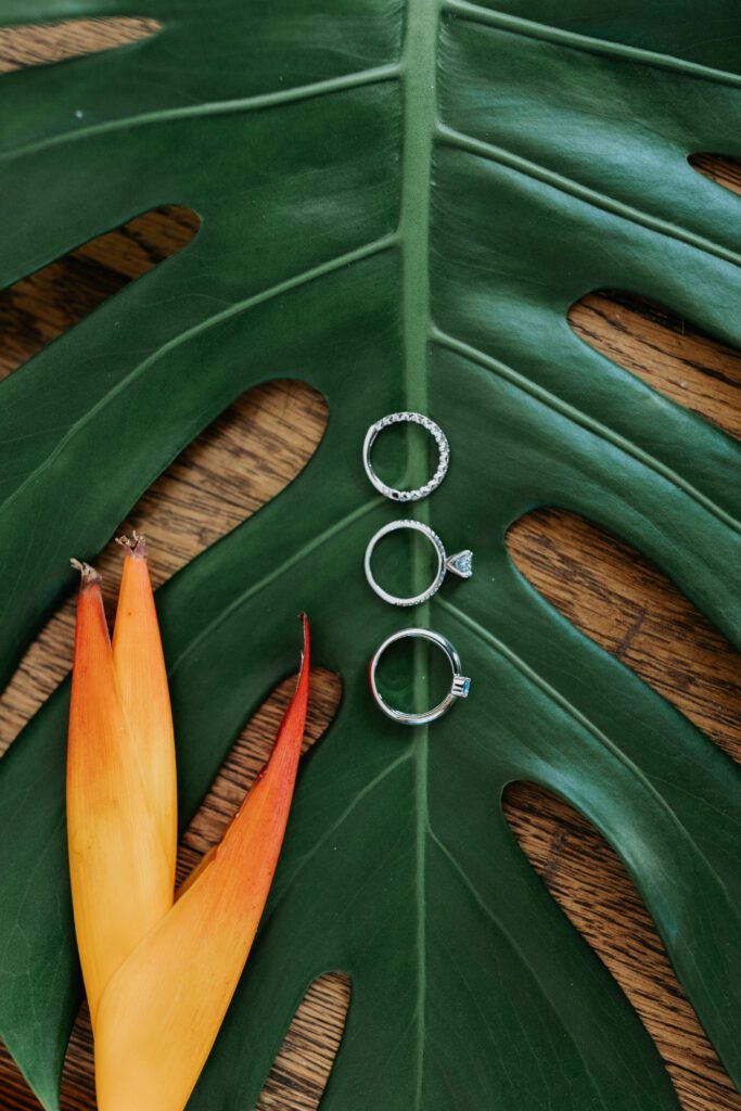 Set of three rings on a palm leaf