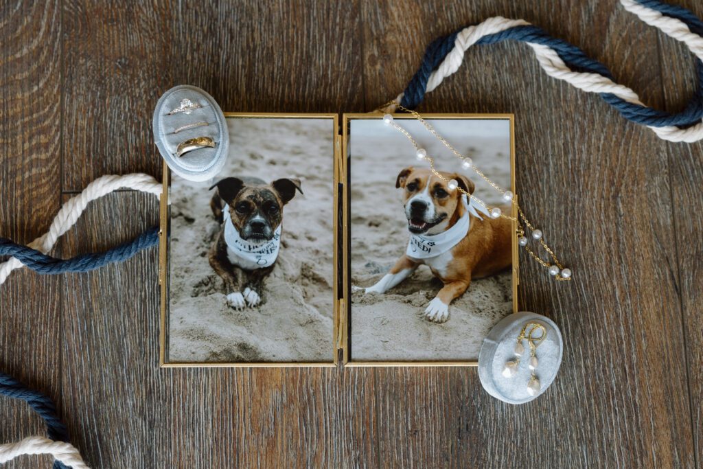 Unique ways to include your pets on your wedding day