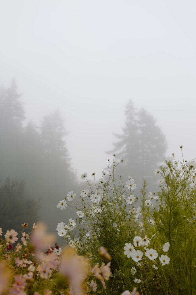 A garden wedding in Northwest Washington