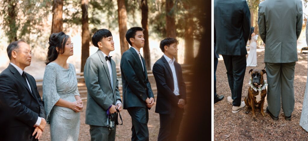 Carbon Canyon redwood grove elopement wedding photos by southern california photographer