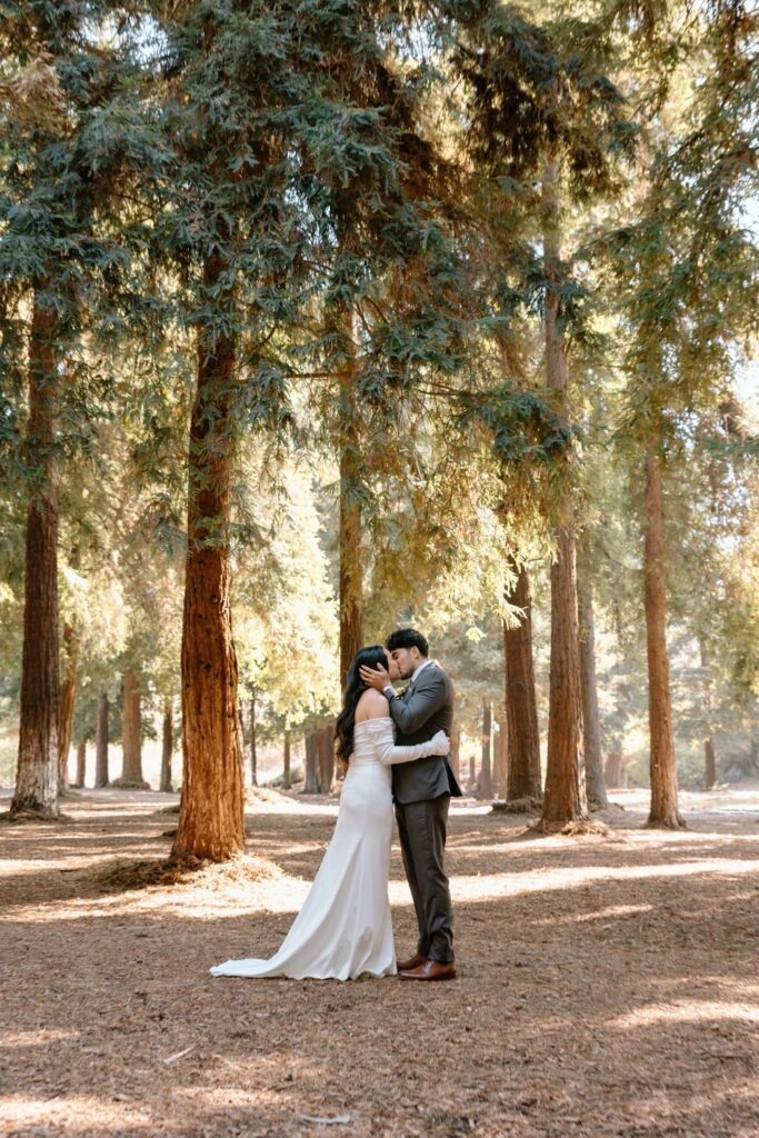 Carbon Canyon redwood grove elopement wedding photos