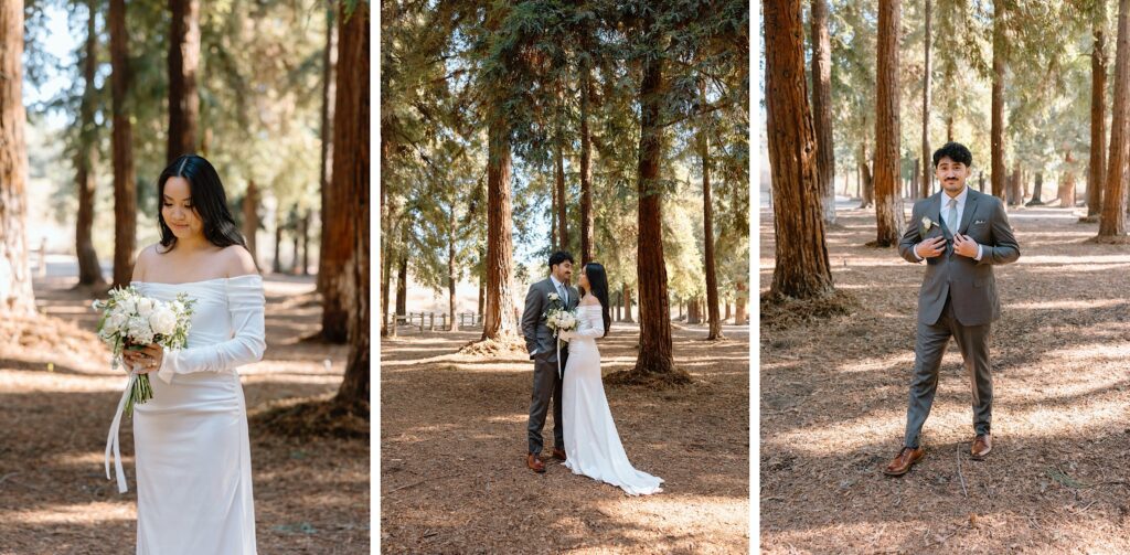 Wedding photos at Carbon Canyon Brea redwood grove elopement.